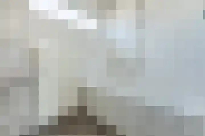 van der Nootstraat 36 Grave thumbnail 20