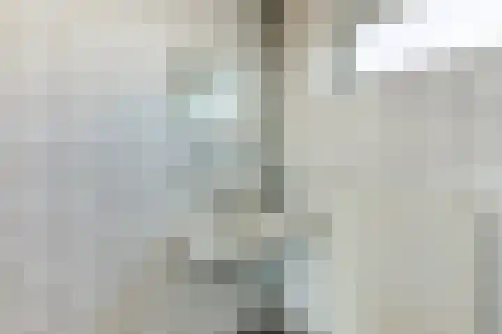 van der Nootstraat 36 Grave thumbnail 21