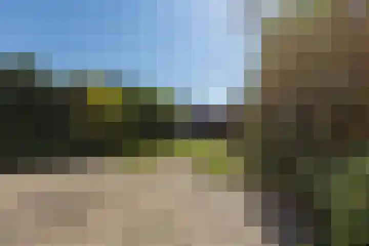 van der Nootstraat 36 Grave thumbnail 34