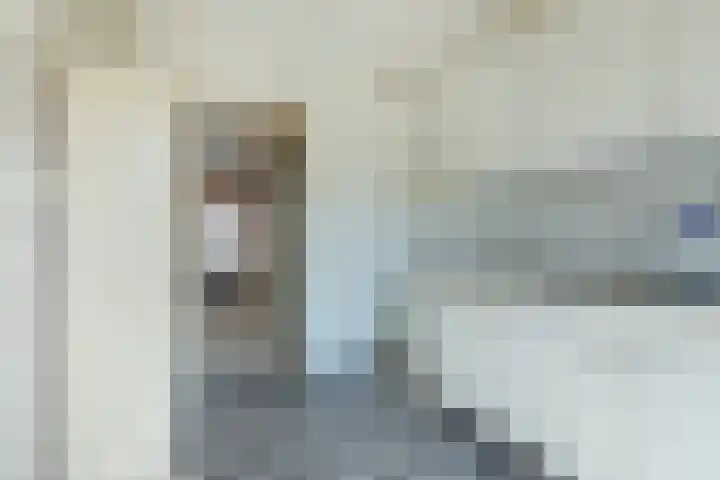 van der Nootstraat 36 Grave thumbnail 4