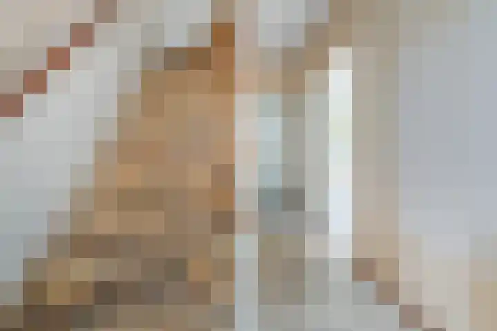 van der Nootstraat 36 Grave thumbnail 7