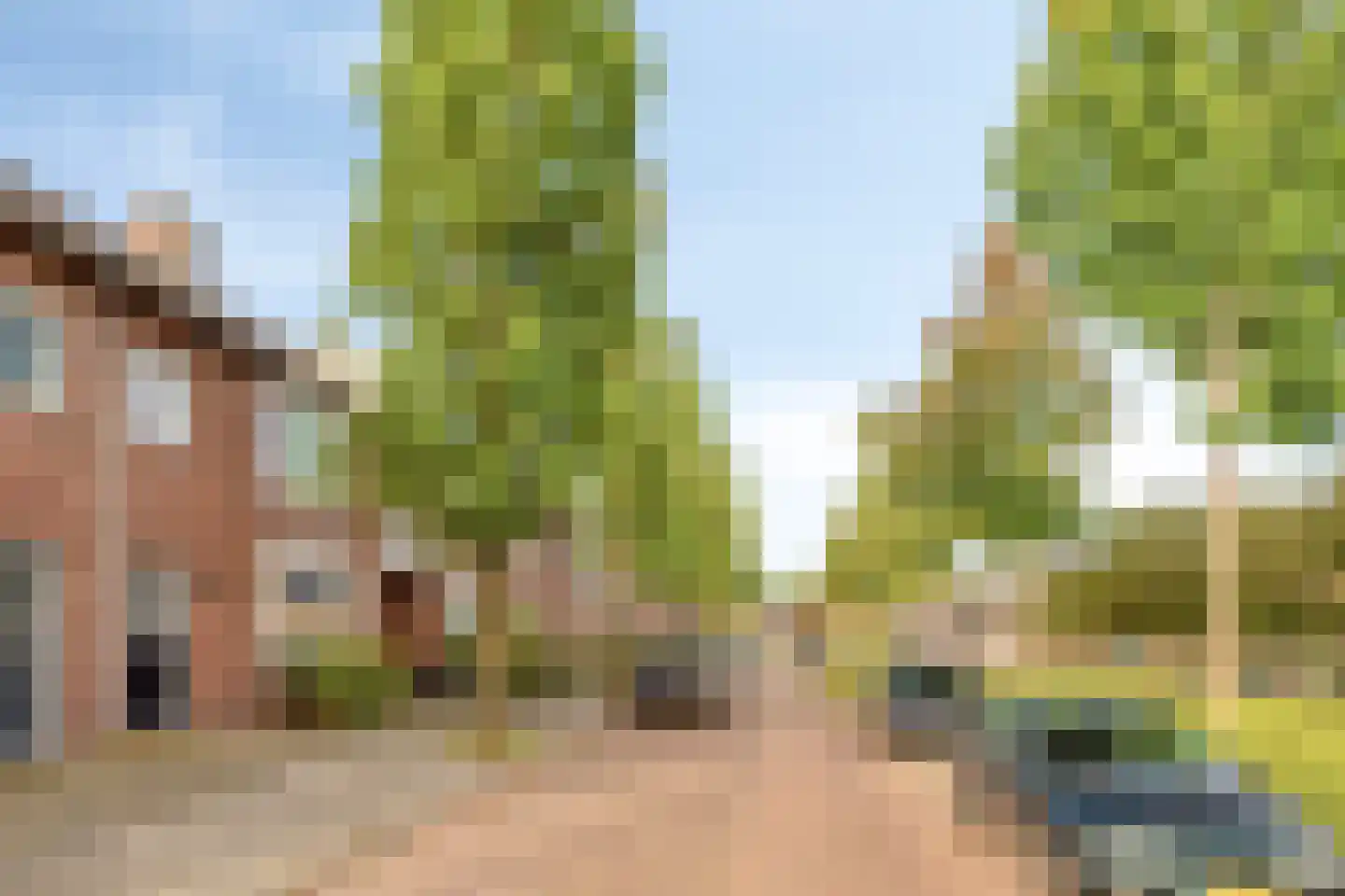 van der Nootstraat 39 's-Hertogenbosch thumbnail 26