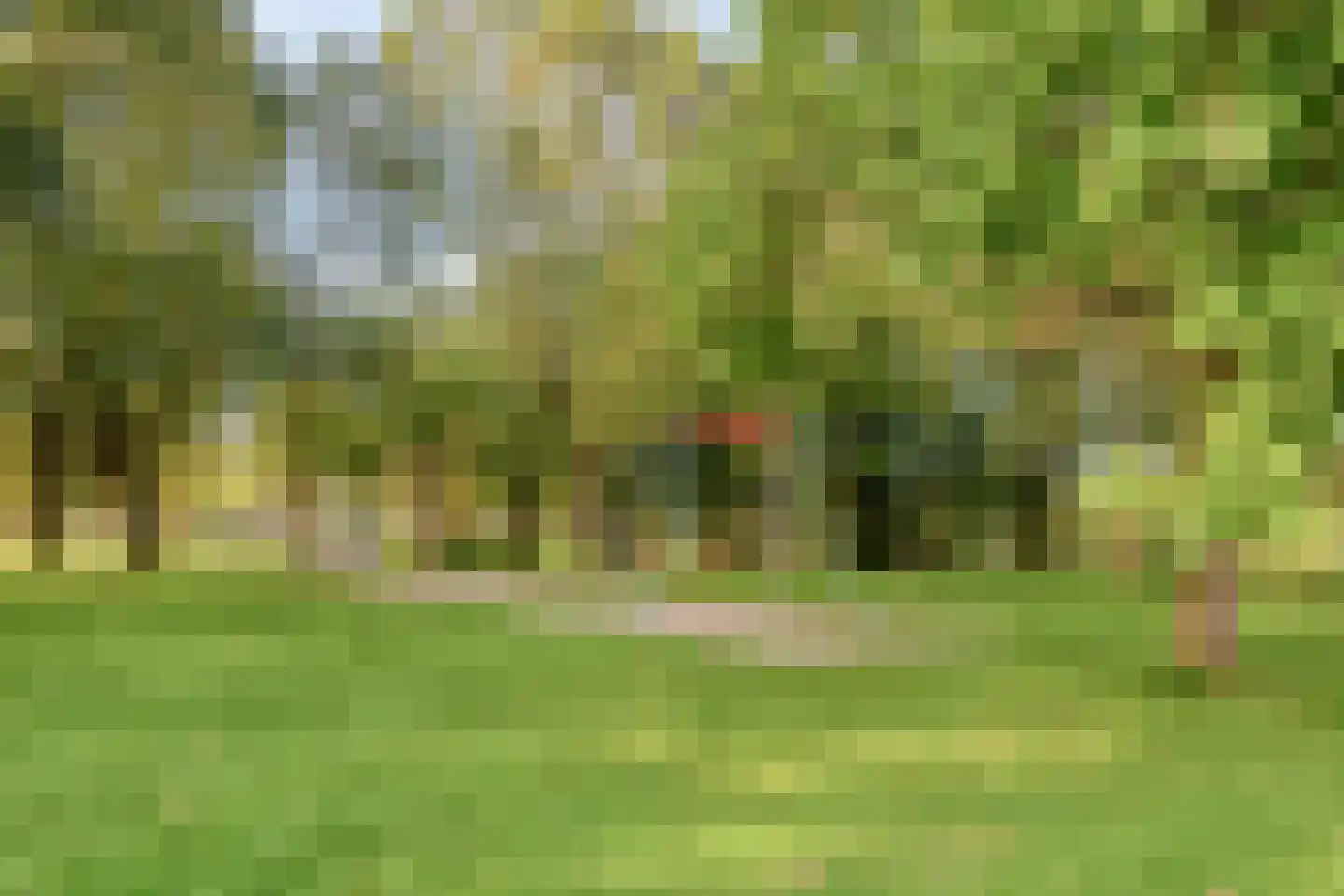 van der Nootstraat 39 's-Hertogenbosch thumbnail 28