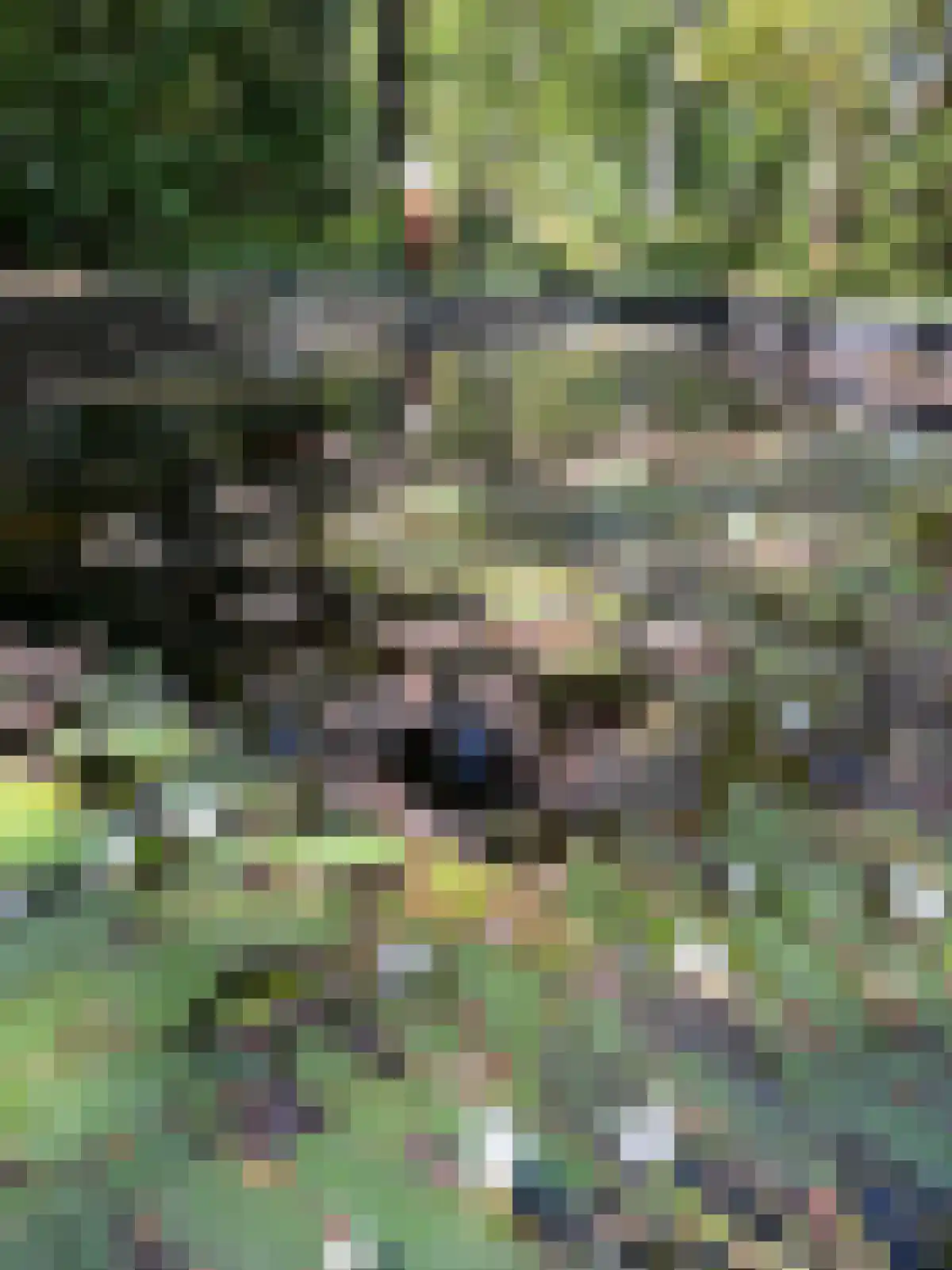 Van der Oudermeulenlaan 19 Wassenaar thumbnail 36