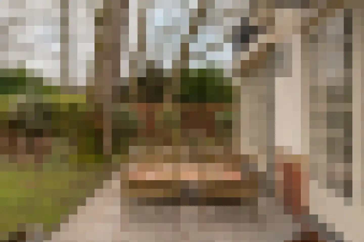 Van der Oudermeulenlaan 19 Wassenaar thumbnail 37