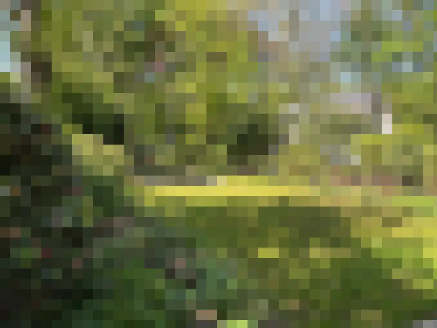Van der Oudermeulenlaan 19 Wassenaar thumbnail 39
