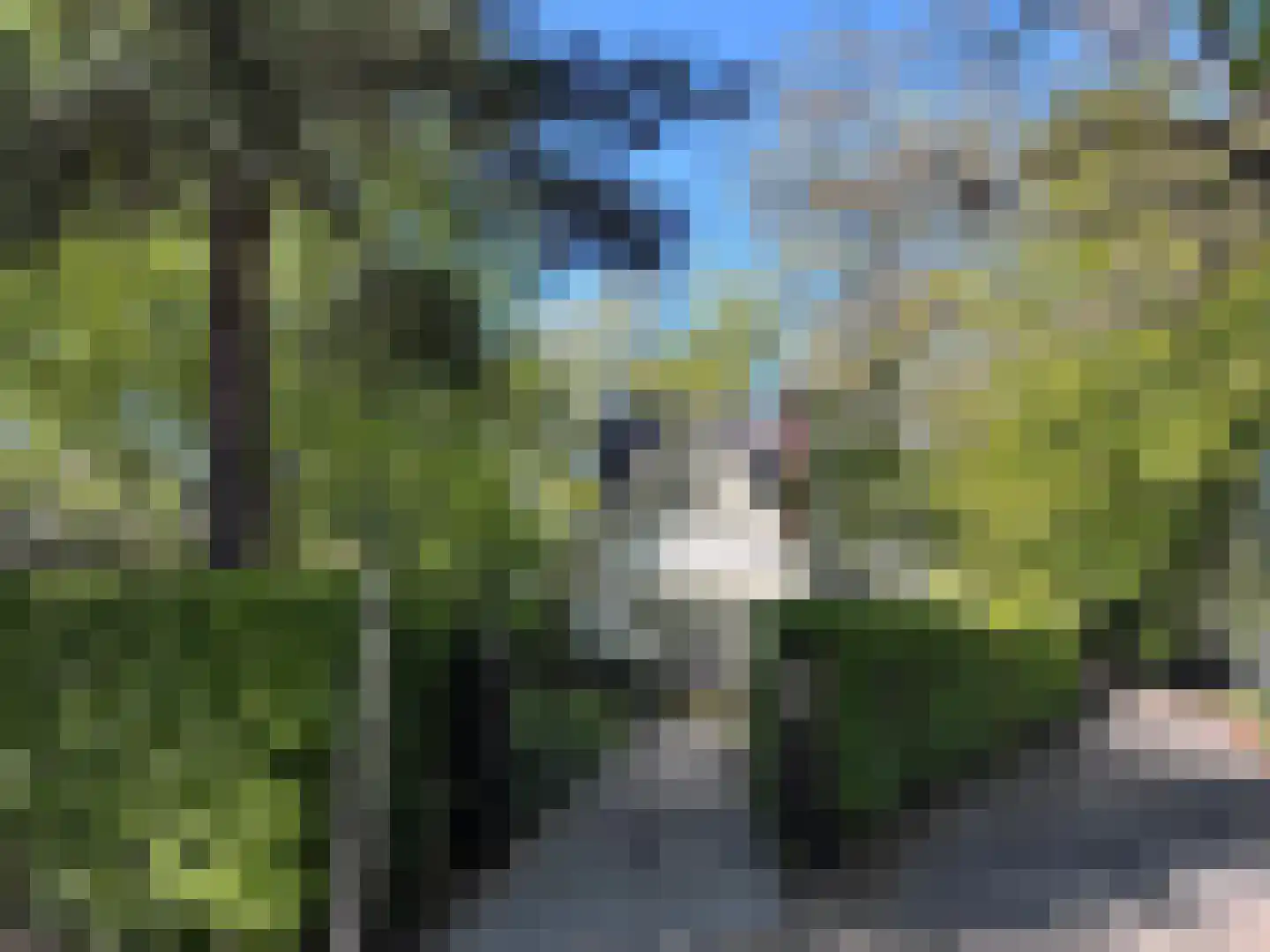Van der Oudermeulenlaan 19 Wassenaar thumbnail 5