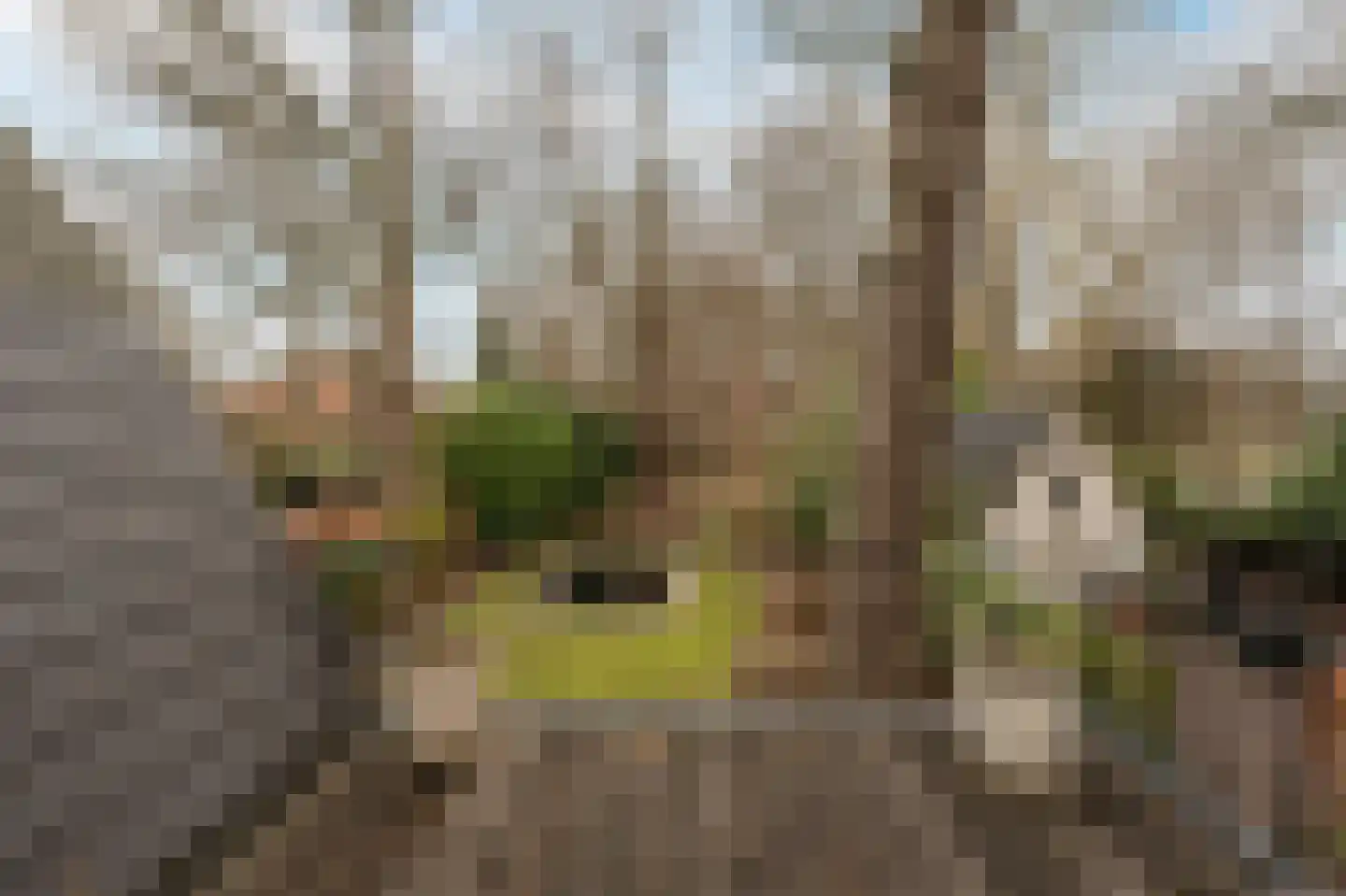 Van der Oudermeulenlaan 19 Wassenaar thumbnail 63