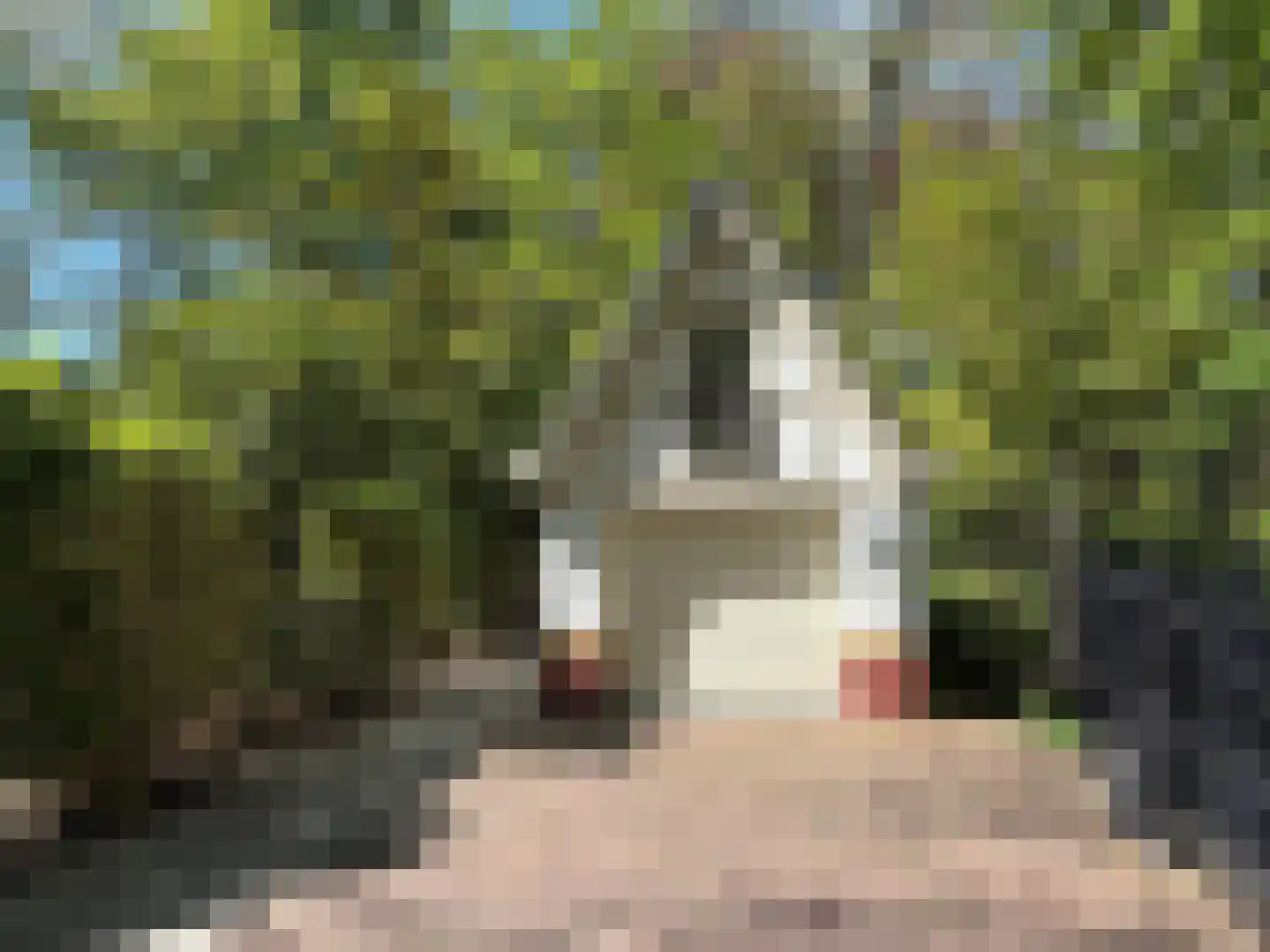 Van der Oudermeulenlaan 19 Wassenaar thumbnail 66