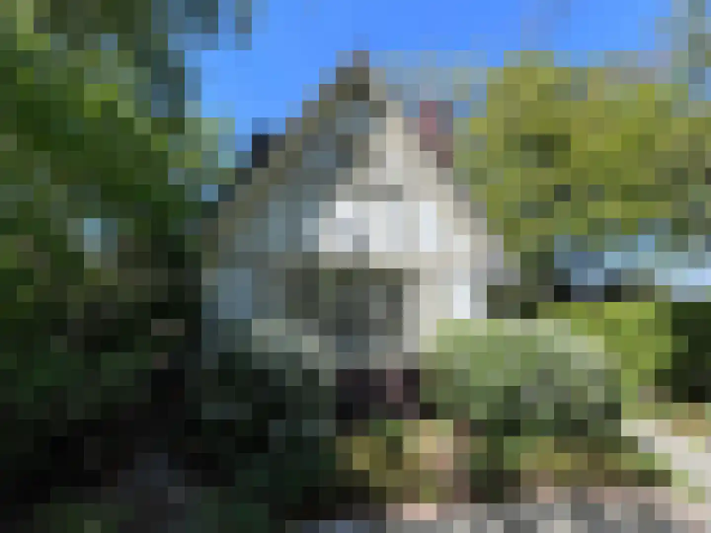 Van der Oudermeulenlaan 19 Wassenaar thumbnail 8