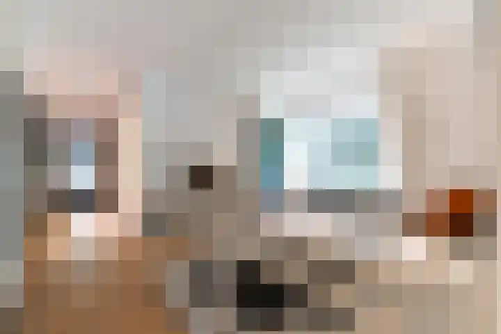 Van der Oudermeulenlaan 3 Wassenaar thumbnail 18