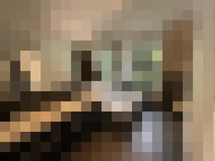 Van der Oudermeulenlaan 3 Wassenaar thumbnail 22