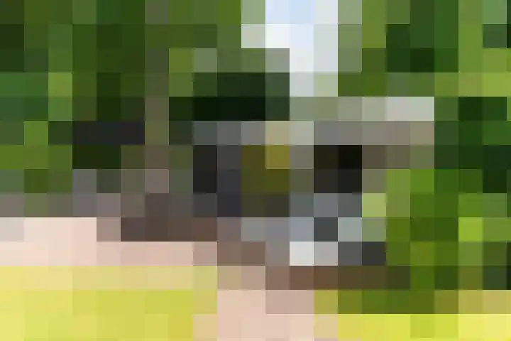 Van der Oudermeulenlaan 3 Wassenaar thumbnail 32
