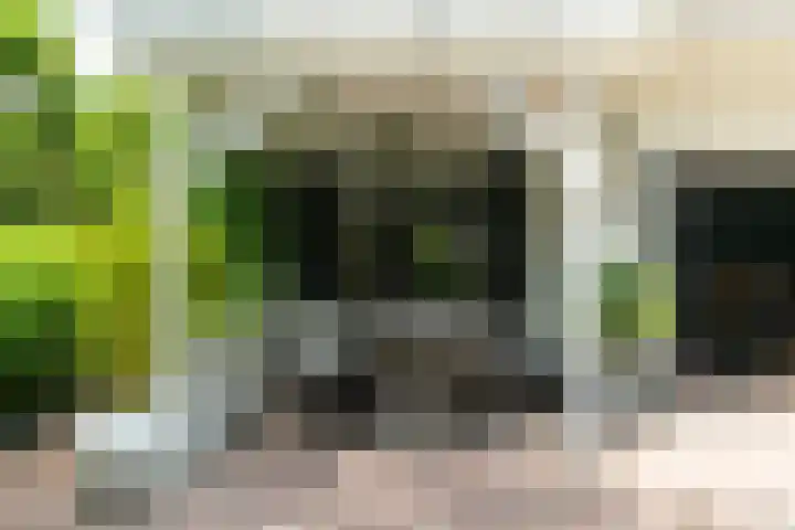 Van der Oudermeulenlaan 3 Wassenaar thumbnail 33