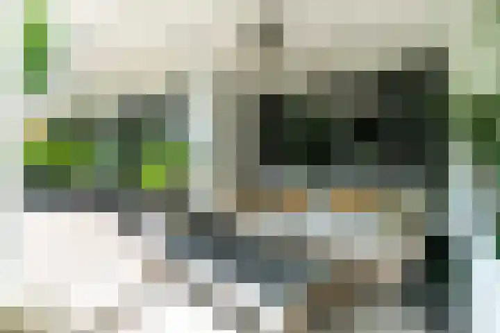 Van der Oudermeulenlaan 3 Wassenaar thumbnail 35