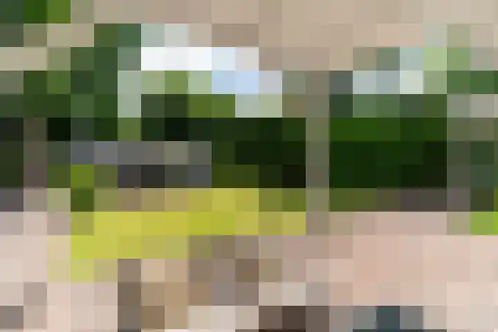 Van der Oudermeulenlaan 3 Wassenaar thumbnail 36
