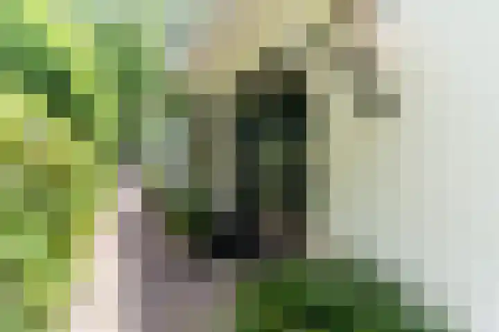 Van der Oudermeulenlaan 3 Wassenaar thumbnail 5