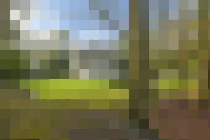 Van der Oudermeulenlaan 8 Wassenaar thumbnail 46