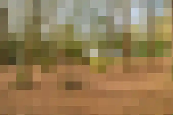 Van der Oudermeulenlaan 8 Wassenaar thumbnail 47
