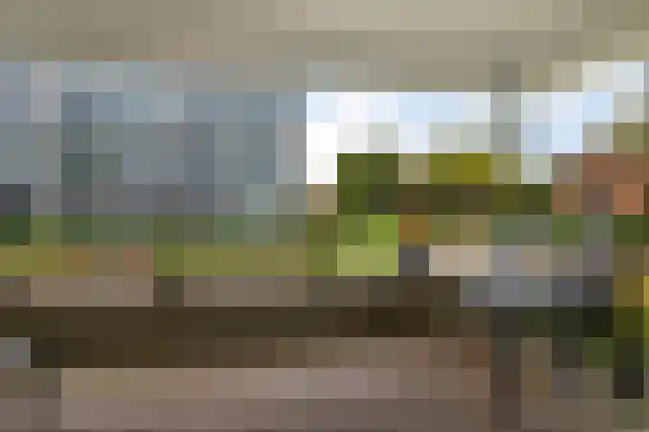 Van der Paauwkade 22 Leiden thumbnail 23