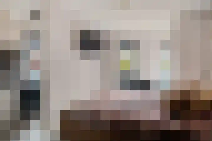 Van der Paauwkade 22 Leiden thumbnail 32