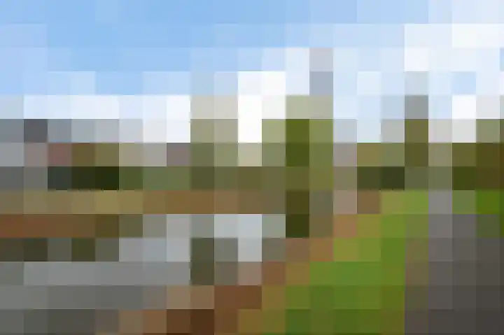 Van der Paauwkade 22 Leiden thumbnail 39