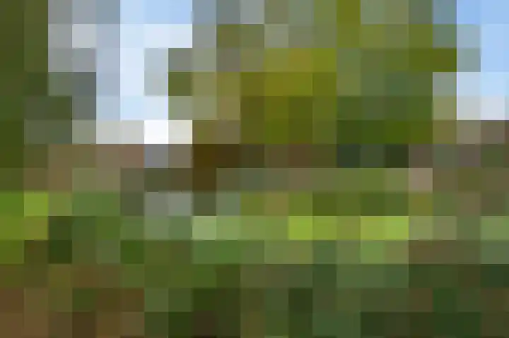 Van der Paauwkade 22 Leiden thumbnail 41