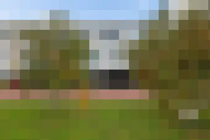 Van der Paauwkade 22 Leiden thumbnail 6