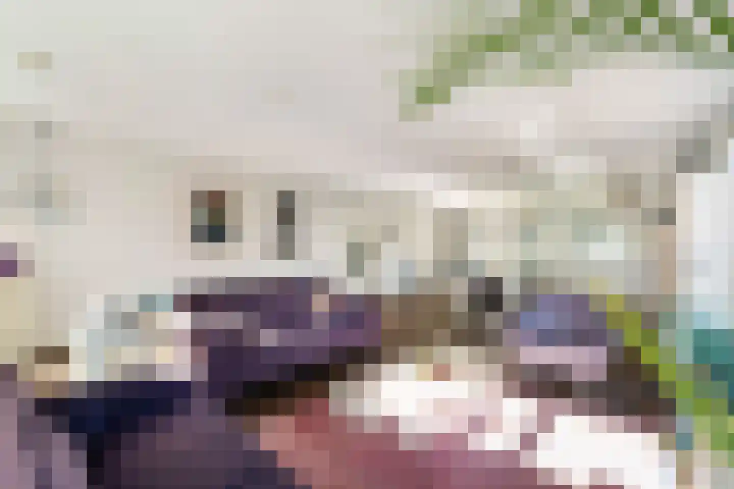Van der Paauwkade 24 Leiden thumbnail 25