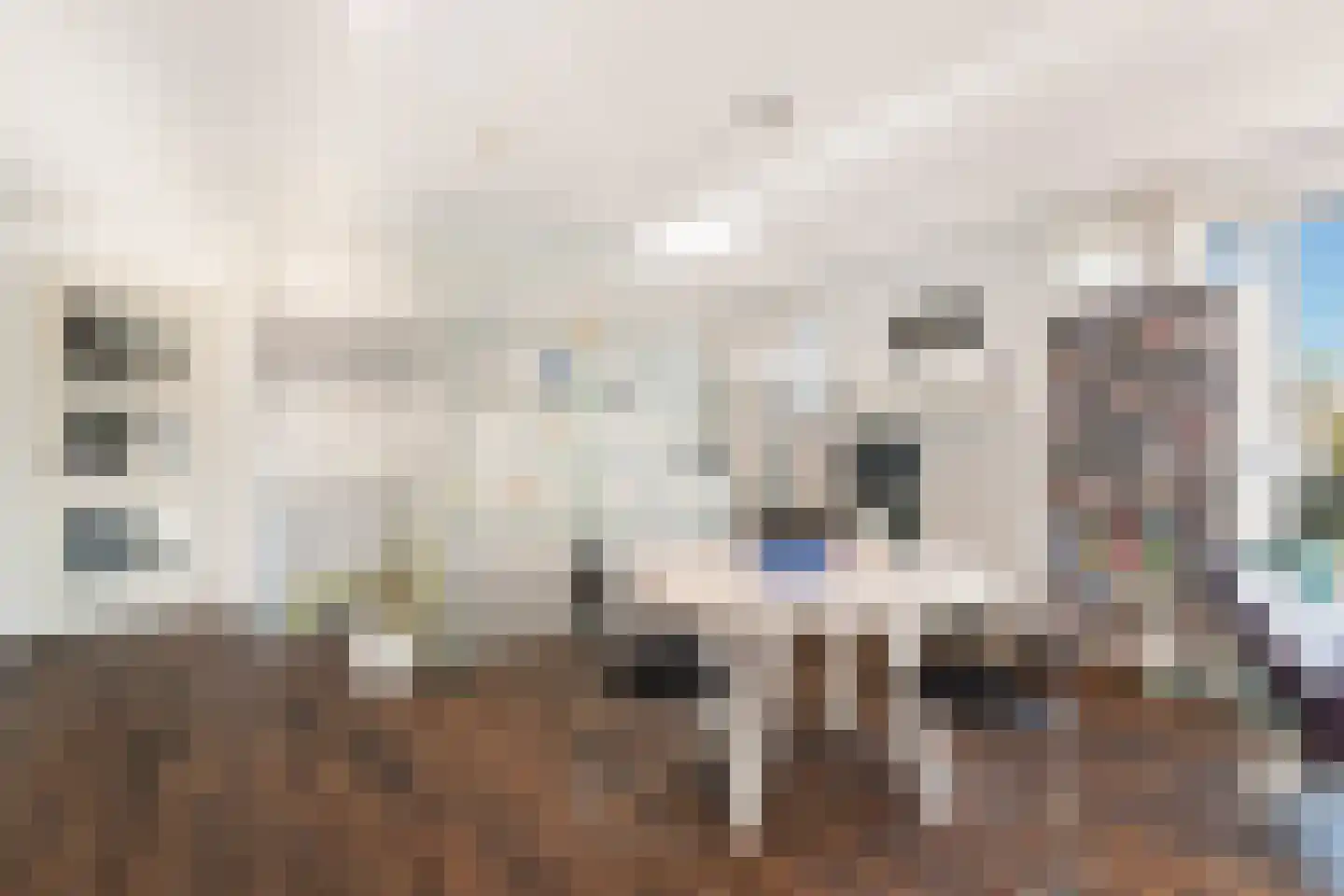 Van der Paauwkade 24 Leiden thumbnail 27