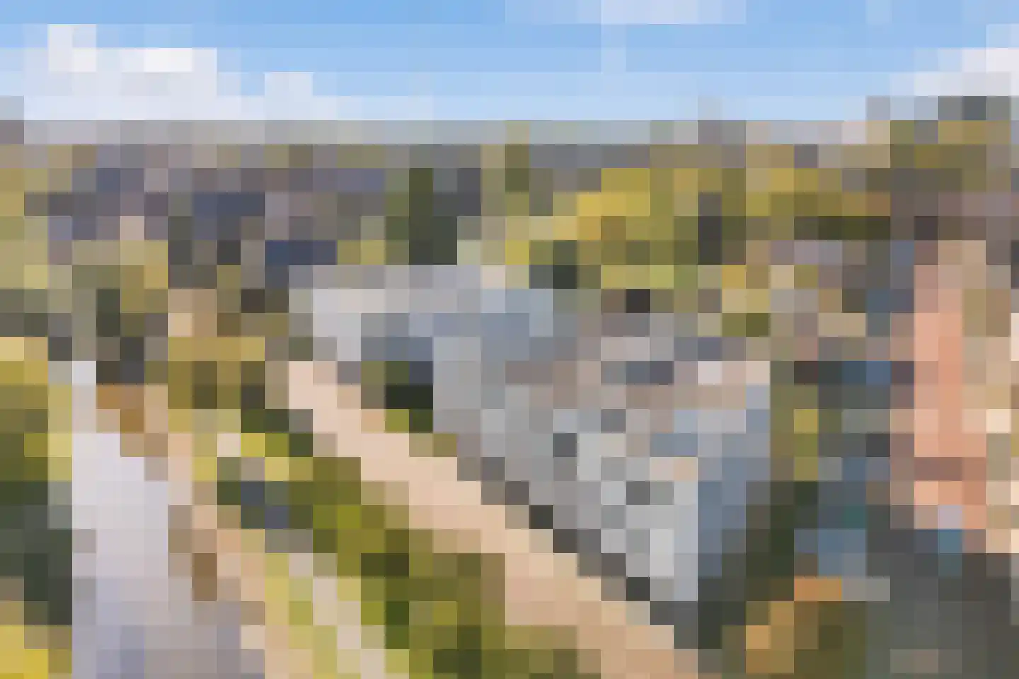 Van der Paauwkade 24 Leiden thumbnail 6