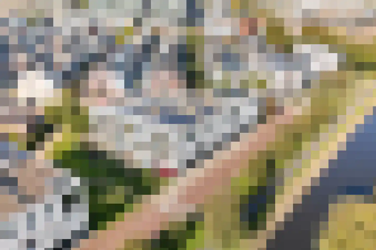 Van der Paauwkade 24 Leiden thumbnail 8