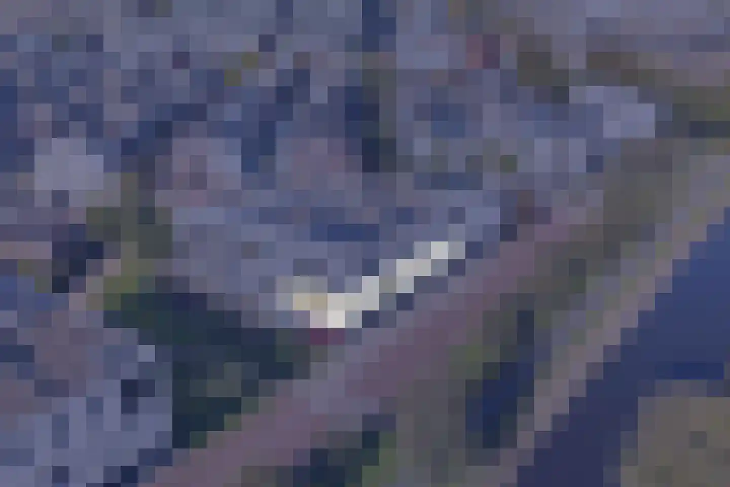 Van der Paauwkade 24 Leiden thumbnail 9