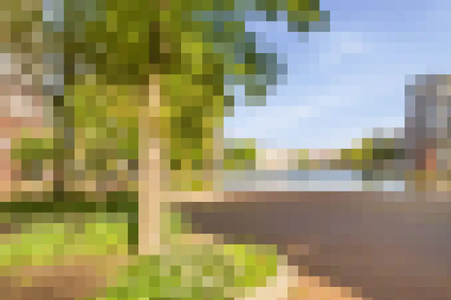 Van der Palmkade 106 Amsterdam thumbnail 34