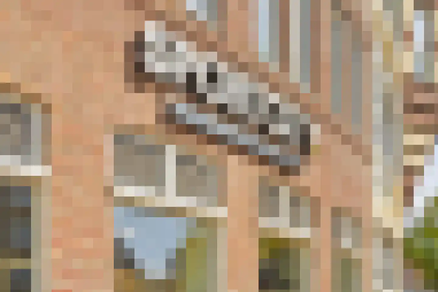 Van der Palmkade 106 Amsterdam thumbnail 36