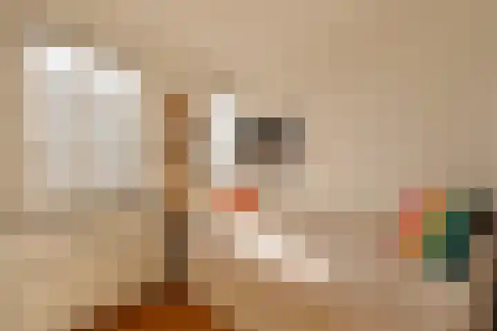 Van der Palmkade 122 Amsterdam thumbnail 14