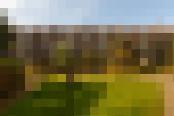 Van der Palmkade 122 Amsterdam thumbnail 22