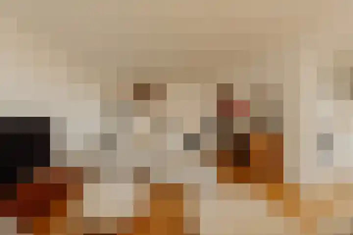 Van der Palmkade 122 Amsterdam thumbnail 5
