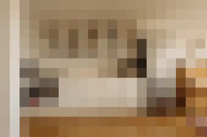 Van der Palmkade 122 Amsterdam thumbnail 6