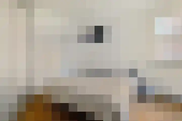 Van der Palmkade 175 Amsterdam thumbnail 17