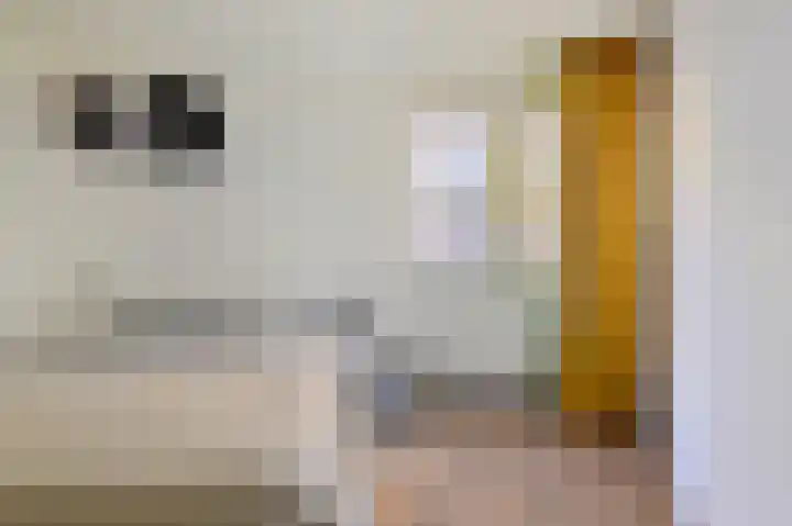 Van der Palmkade 175 Amsterdam thumbnail 18