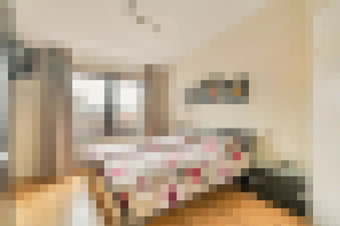Van der Palmkade 228 Amsterdam thumbnail 13