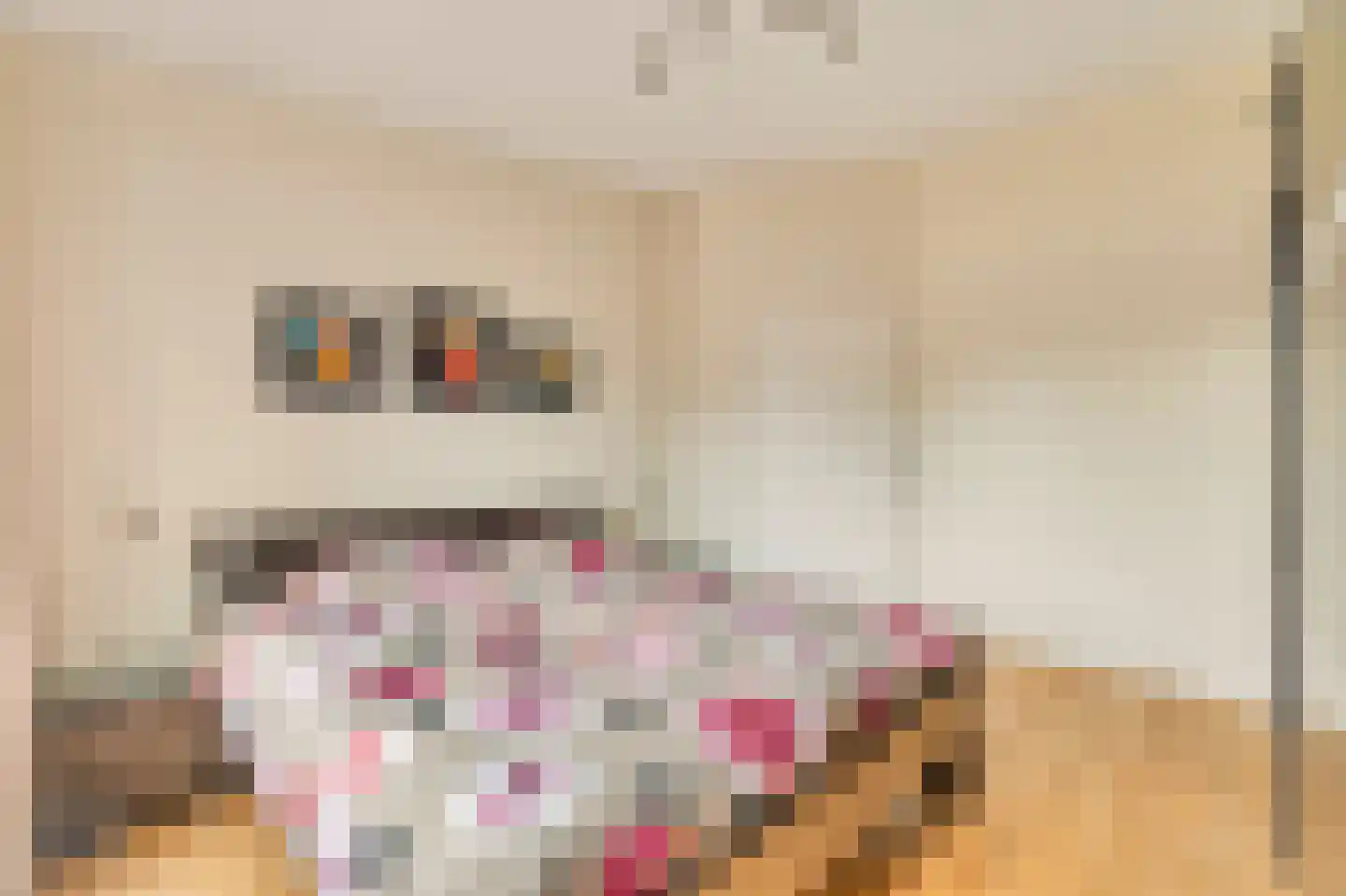 Van der Palmkade 228 Amsterdam thumbnail 14