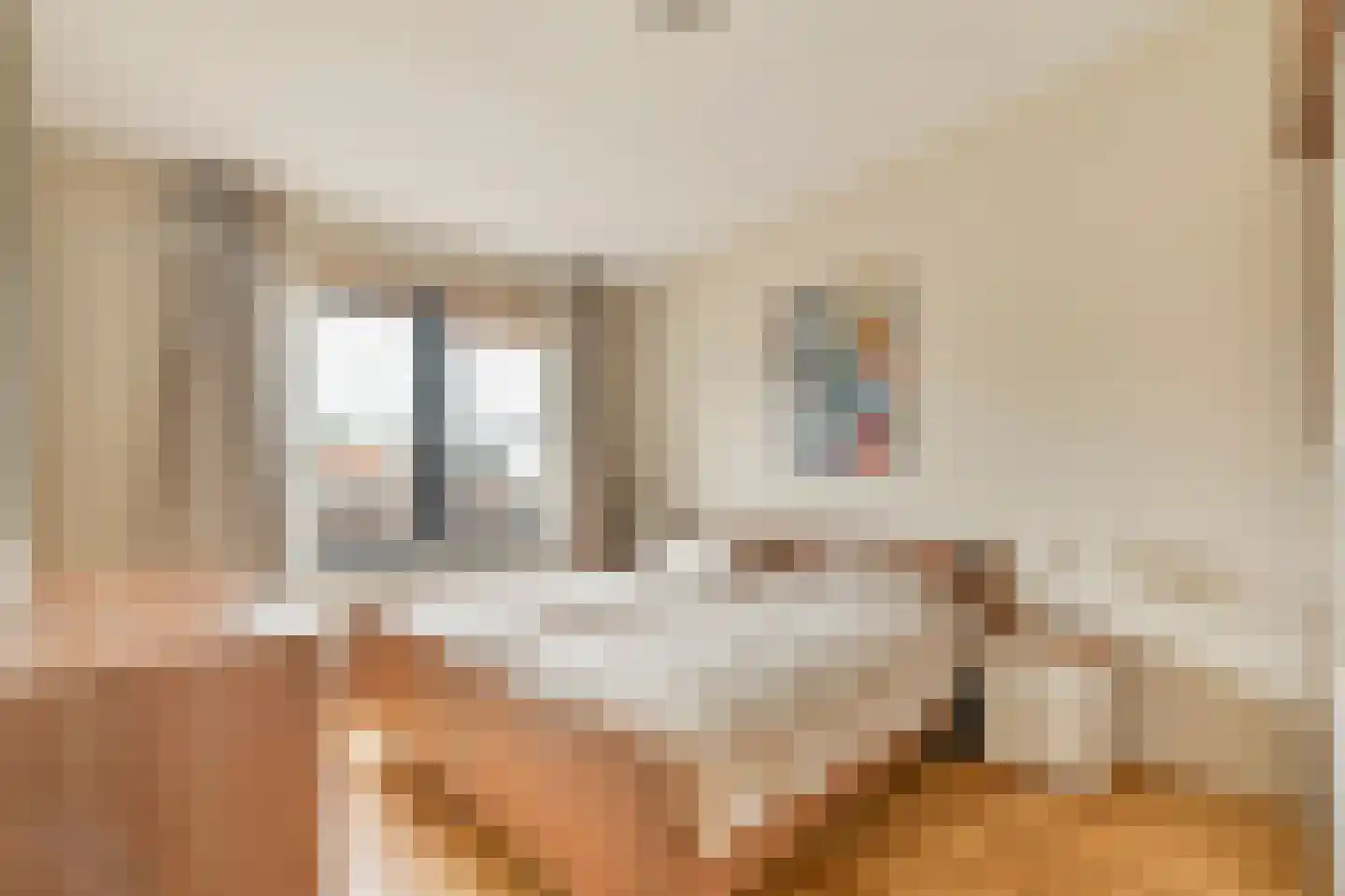 Van der Palmkade 228 Amsterdam thumbnail 15