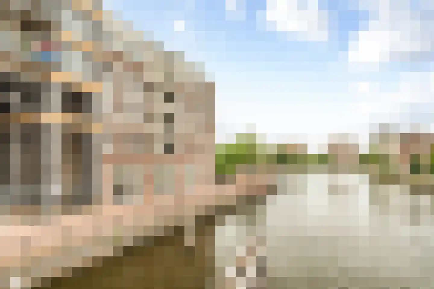 Van der Palmkade 228 Amsterdam thumbnail 22