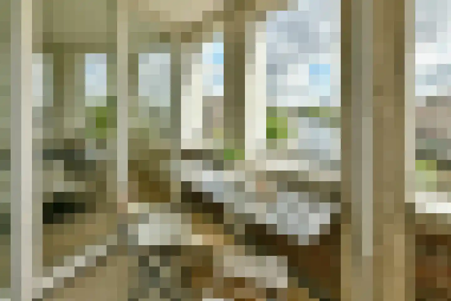 Van der Palmkade 31 Amsterdam thumbnail 13