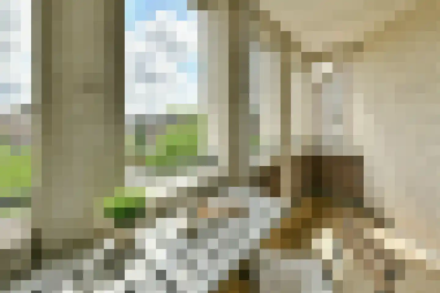 Van der Palmkade 31 Amsterdam thumbnail 15