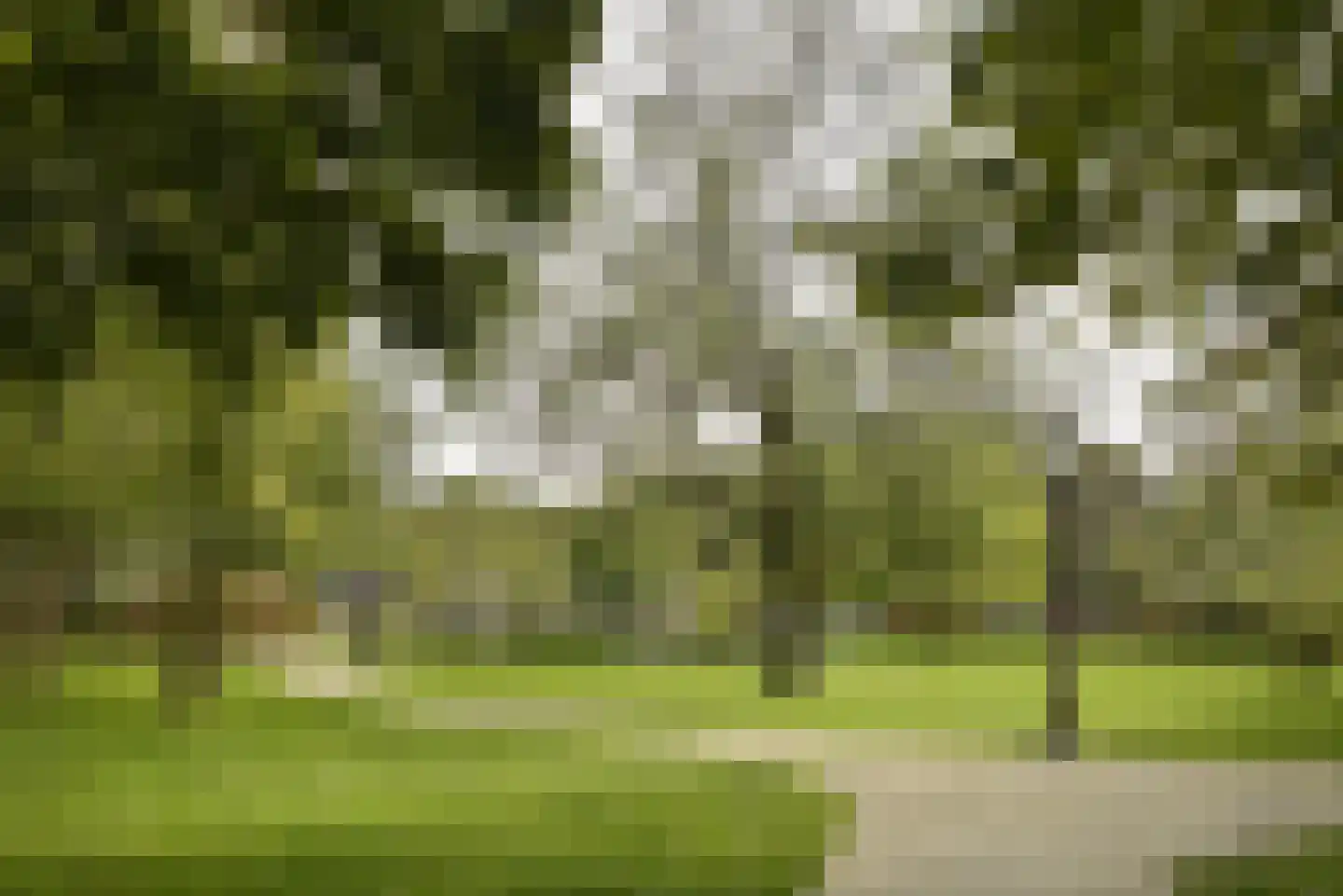 Van der Palmkade 31 Amsterdam thumbnail 40