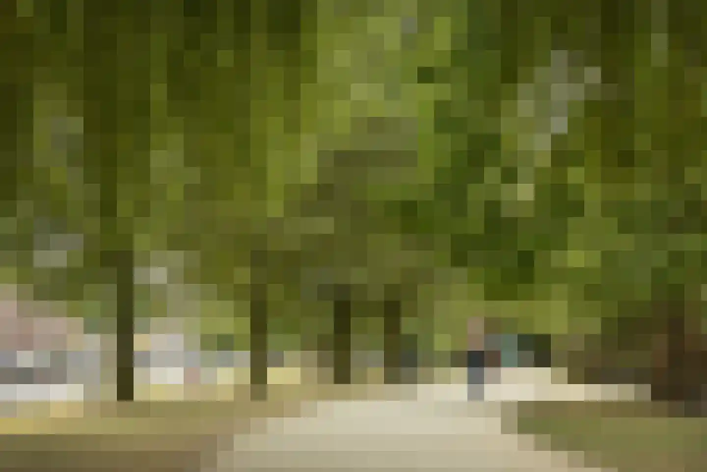 Van der Palmkade 31 Amsterdam thumbnail 43
