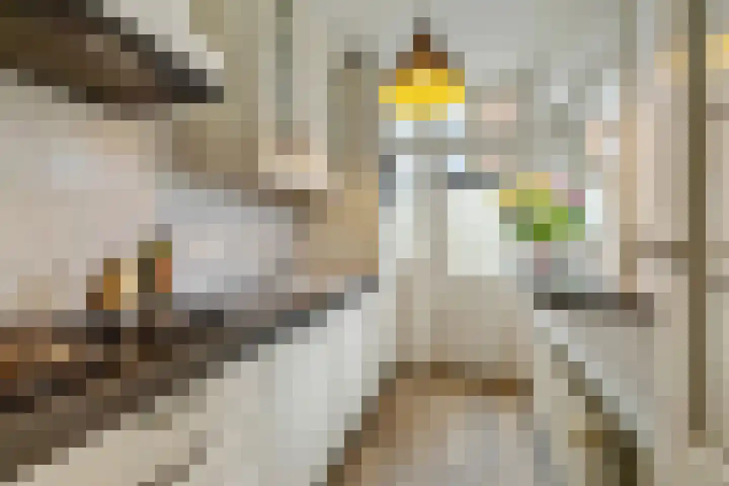 Van der Palmstraat 1 Utrecht thumbnail 12